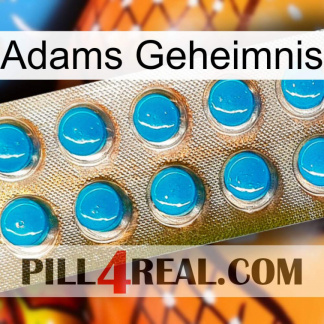 Adams Secret new09
